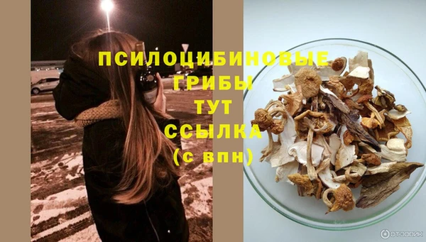 прущий лед Волосово
