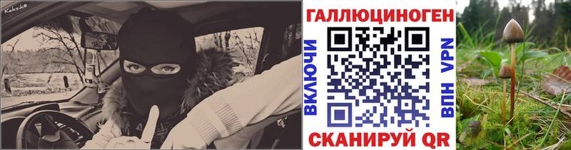 Купить где  Вяземский  Псилоцибиновые грибы ЛСД 