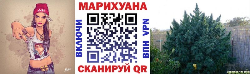 Купить где Вяземский Бошки марихуана сатива