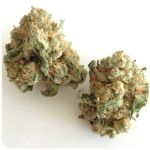 Шишки "White Widow"  (Белая вдова)  Гидропоника -  Бошка VHQ в Вяземском
